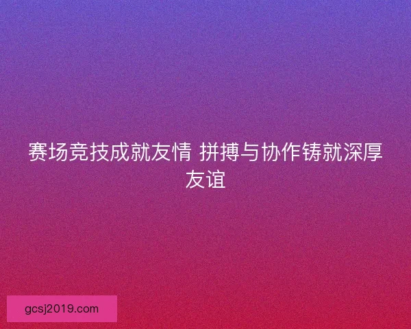 赛场竞技成就友情 拼搏与协作铸就深厚友谊